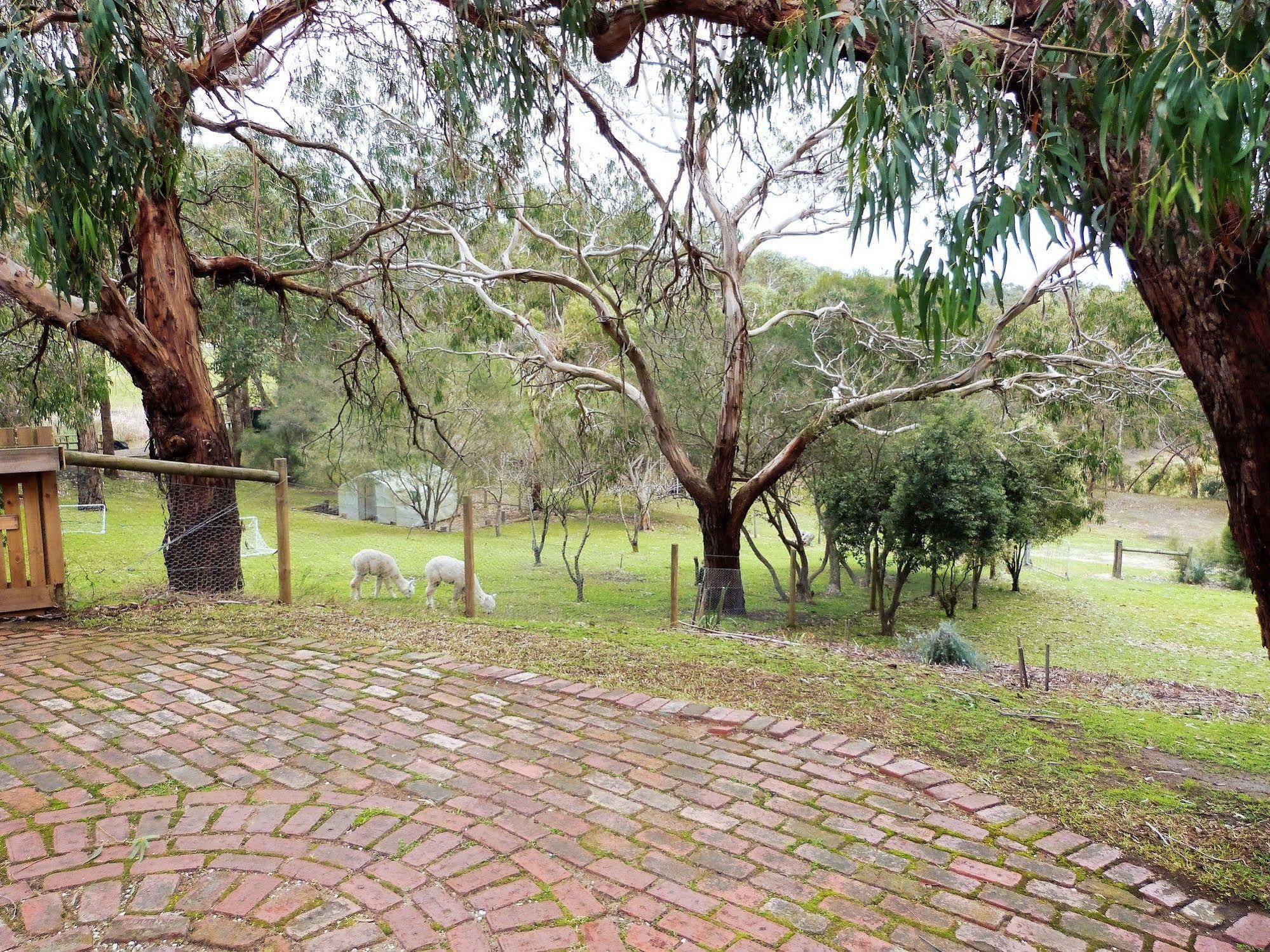 Bells Estate Great Ocean Road Cottages Torquay Exterior photo