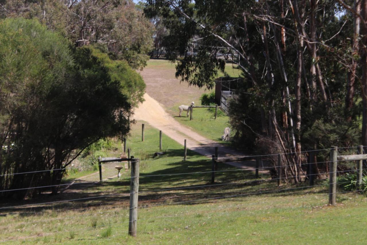 Bells Estate Great Ocean Road Cottages Torquay Exterior photo